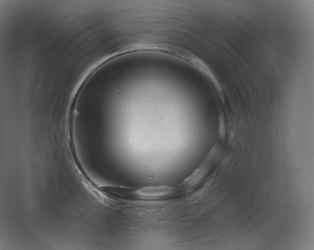 X0000068281148200604211104