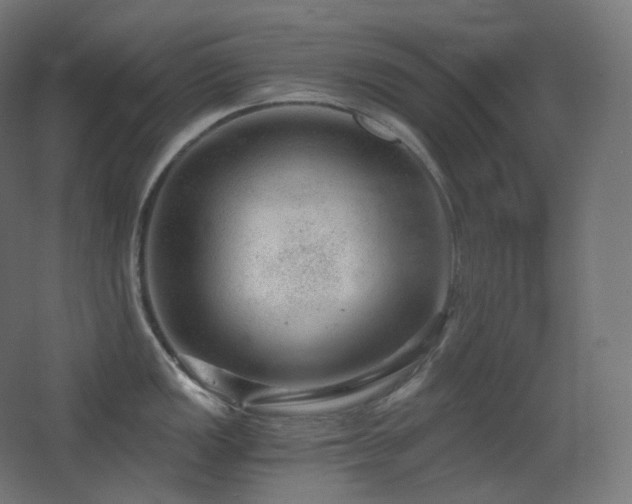 X0000068281149200604211104