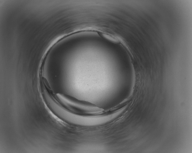 X0000068281151200604211104