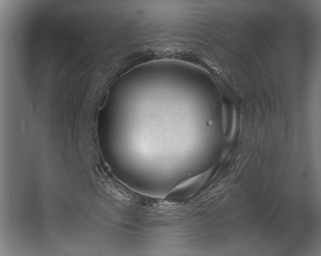 X0000068281153200604211103