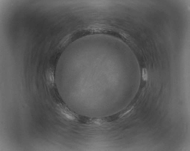 X0000068281155200604211103