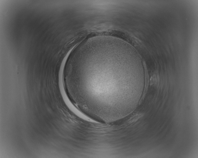 X0000068281156200604211103
