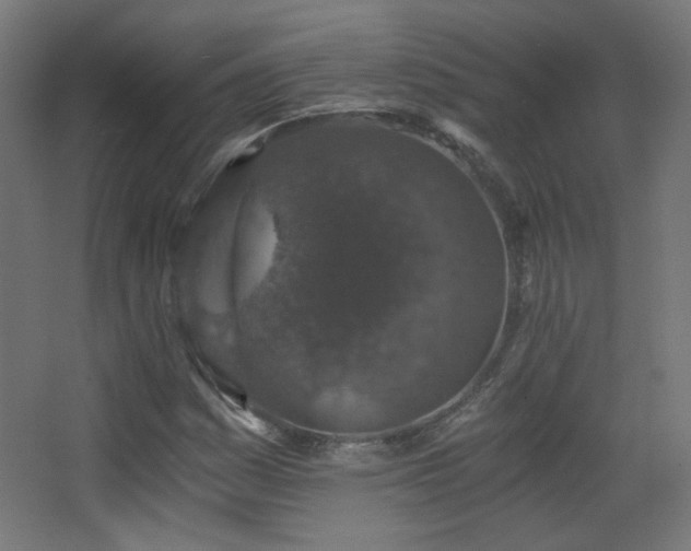 X0000068281161200604211103