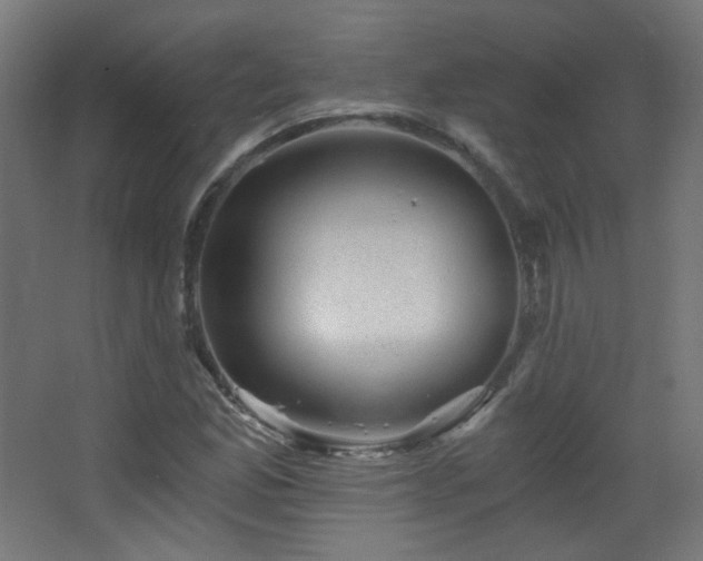 X0000068281165200604211103