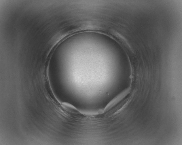 X0000068281170200604211103