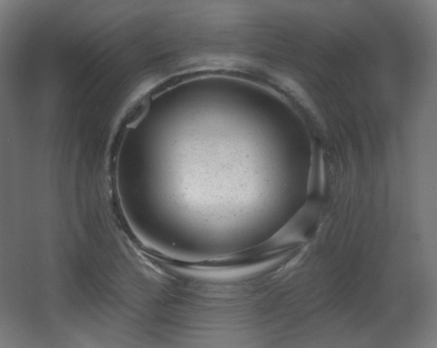 X0000068281172200604211103