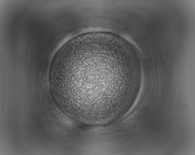 X0000068281173200604211103