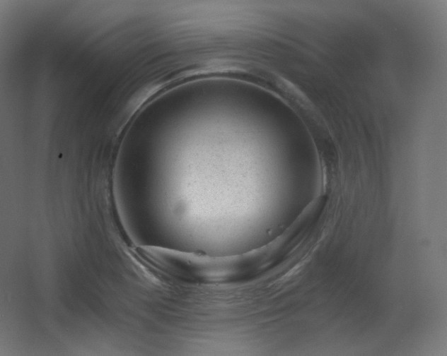 X0000068281177200604211103