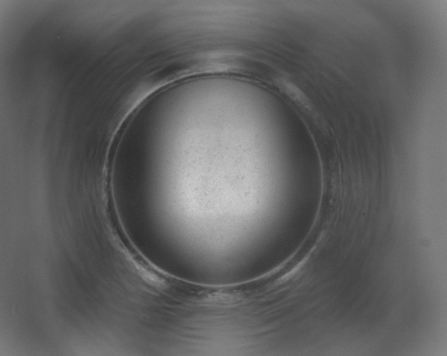 X0000068281178200604211103