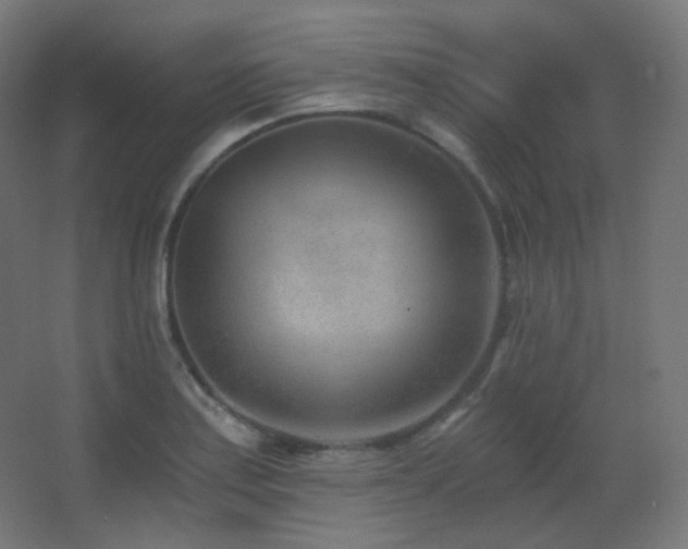 X0000068281179200604211103