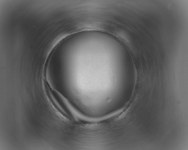 X0000068281182200604211103