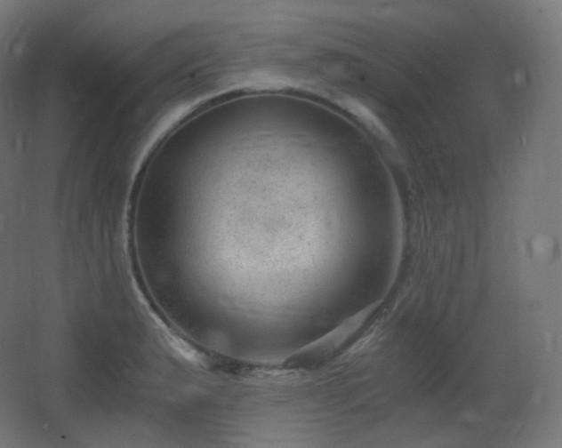 X0000068281183200604211103