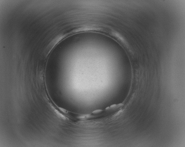 X0000068281185200604211103
