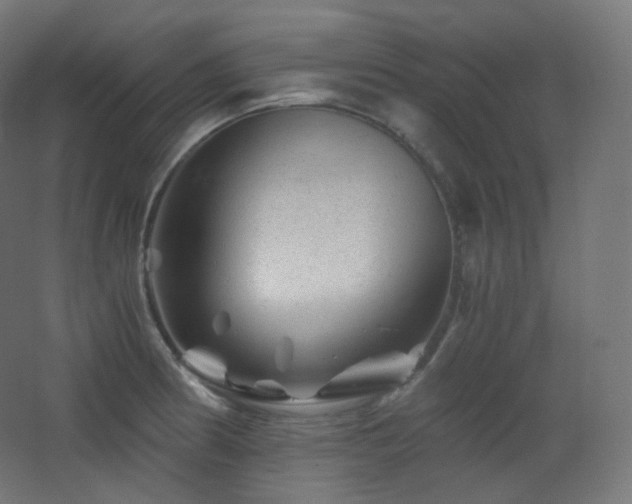 X0000068281186200604211103