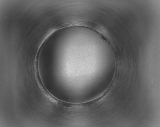 X0000068281190200604211103