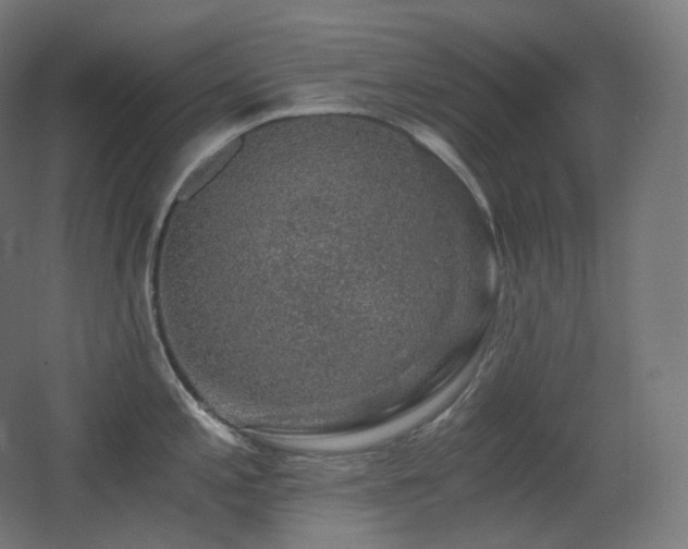 X0000068281197200604211103