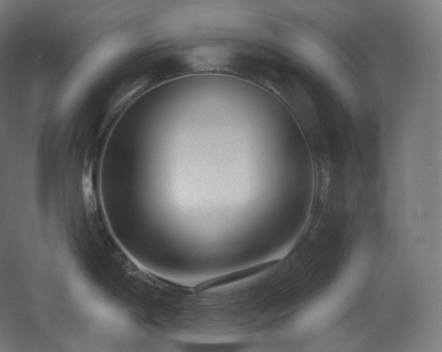 X0000068281198200604211103