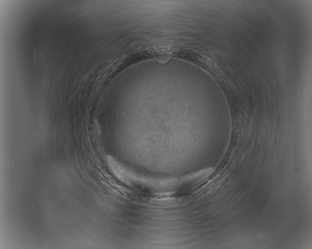 X0000068281201200604211102