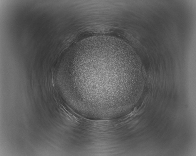 X0000068281202200604211102