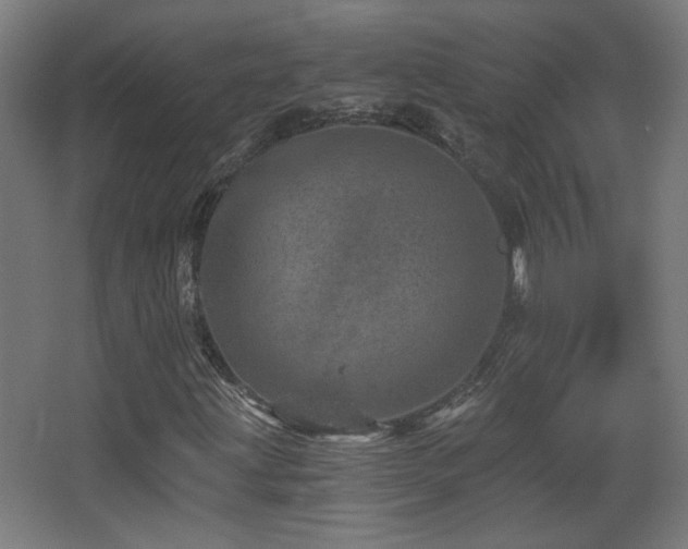 X0000068281203200604211102