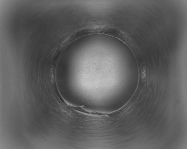 X0000068281204200604211102