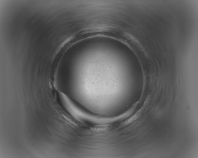 X0000068281210200604211102