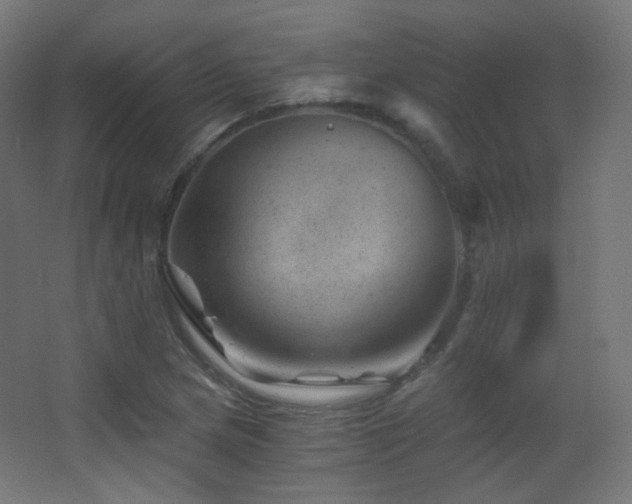 X0000068281217200604211102