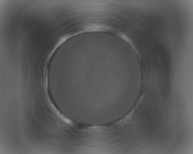 X0000068281227200604211102