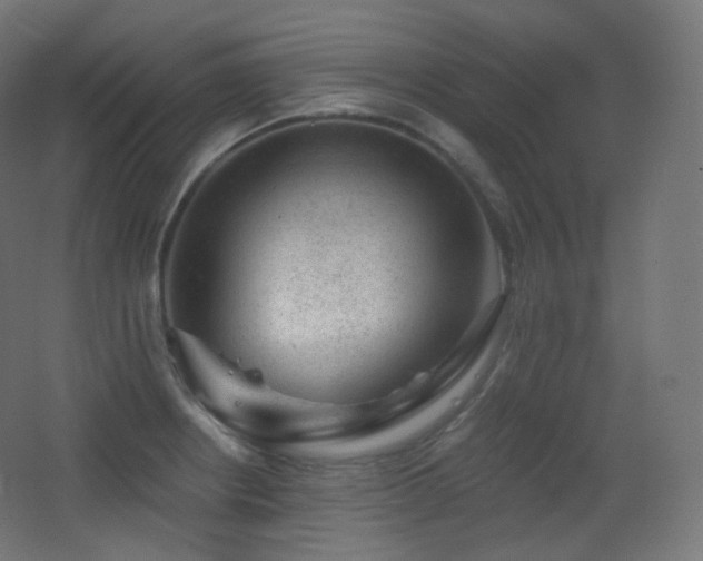 X0000068281234200604211102