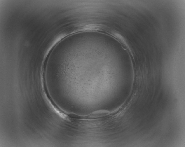 X0000068281235200604211102