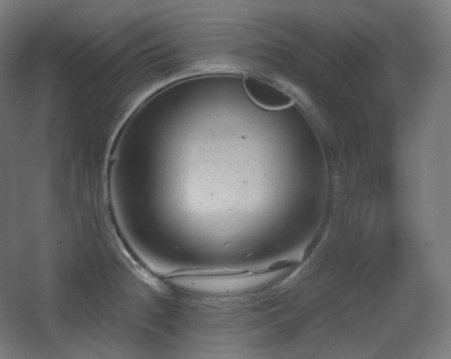 X0000068281236200604211102