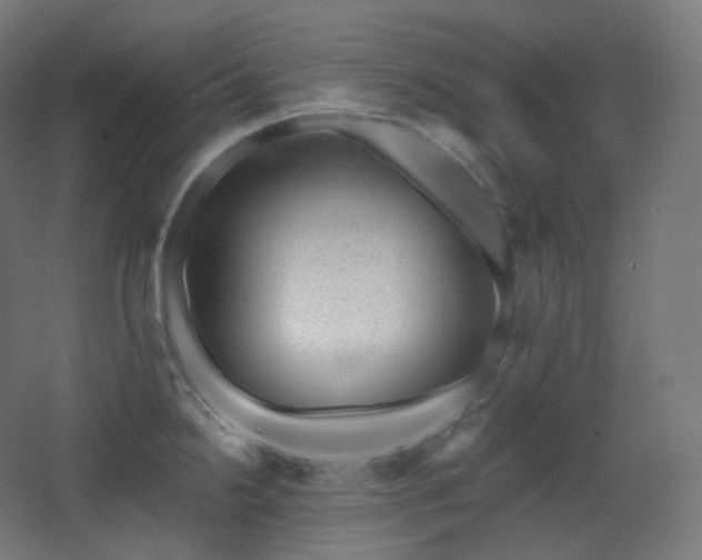 X0000068281238200604211102