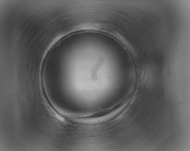 X0000068281240200604211103