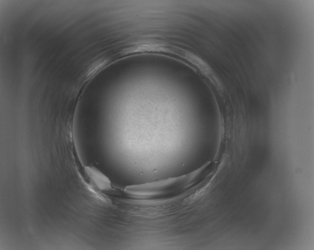 X0000068281241200604211103