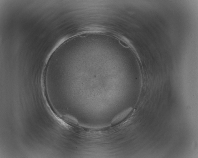 X0000068281243200604211103