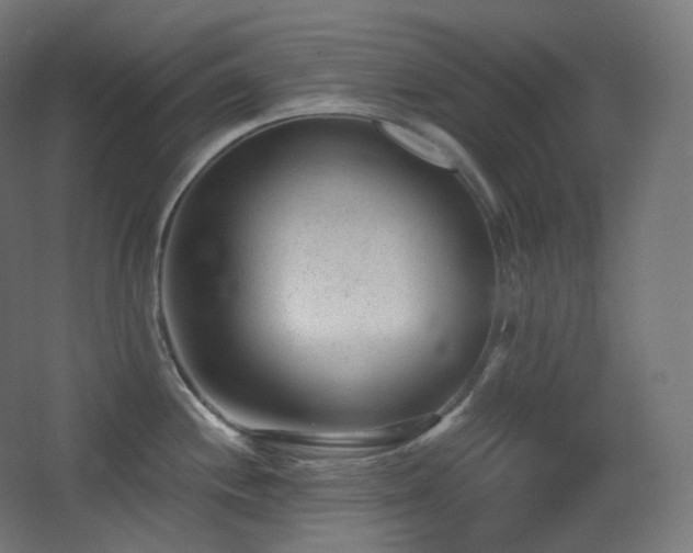 X0000068281244200604211103