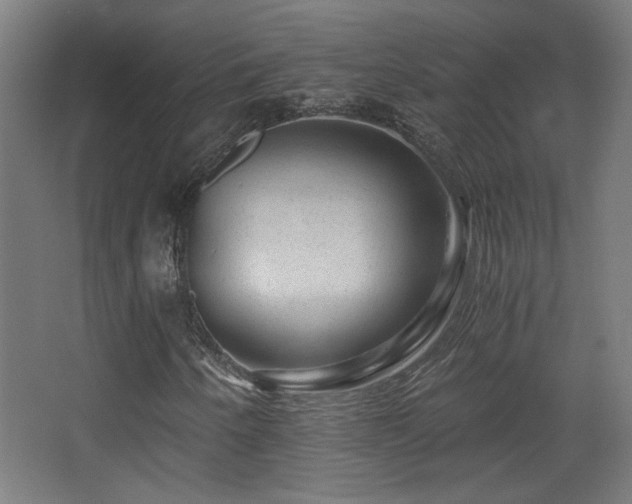 X0000068281250200604211102