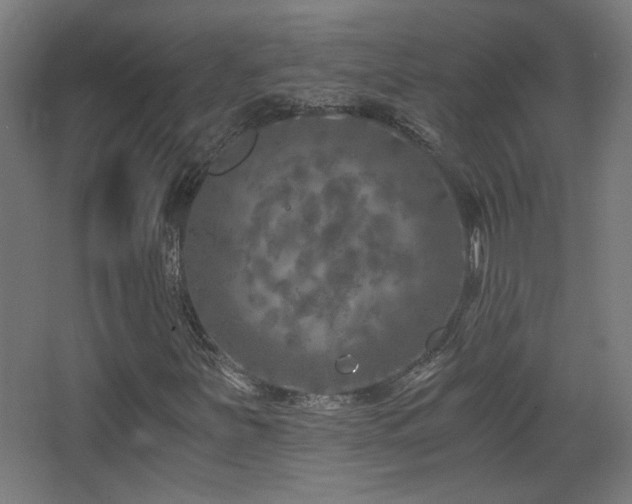 X0000068281251200604211102