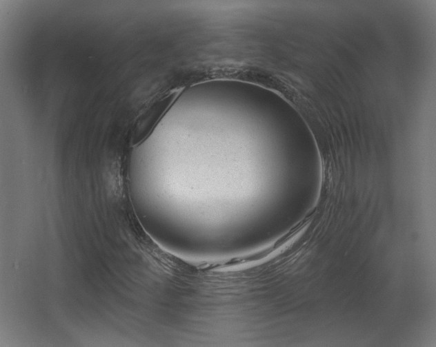 X0000068281252200604211102