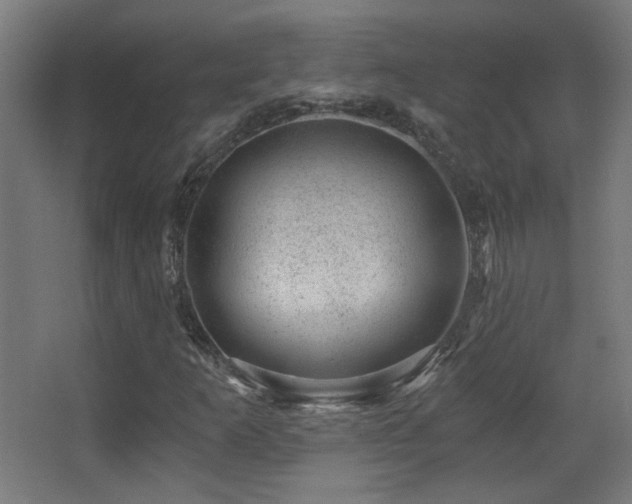 X0000068281253200604211102