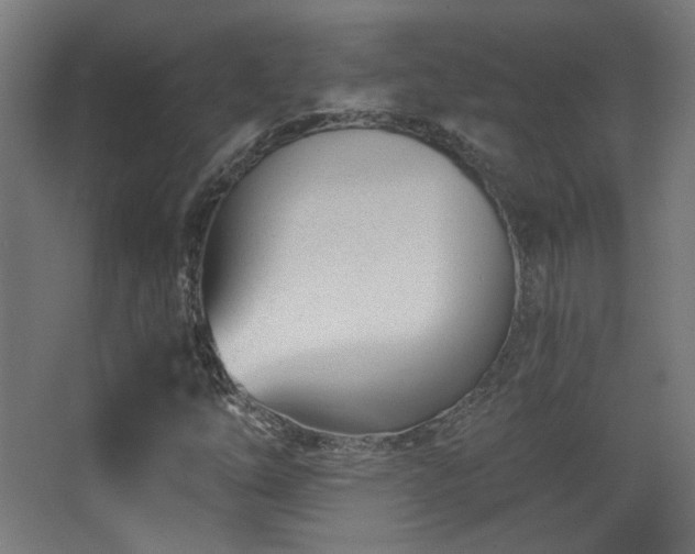 X0000068281254200604211102