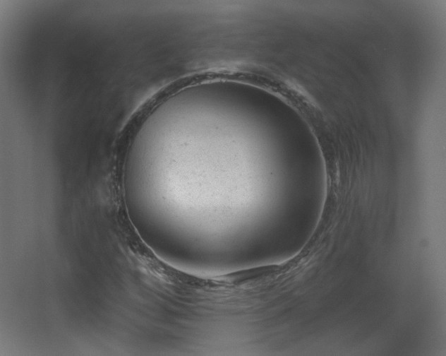 X0000068281256200604211102