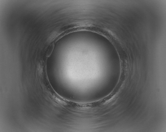 X0000068281257200604211102