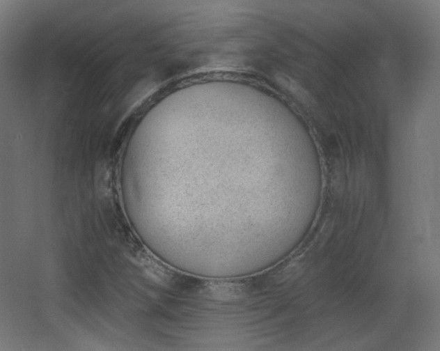 X0000068281258200604211102