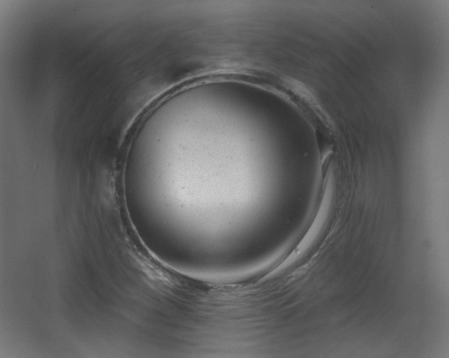 X0000068281260200604211102