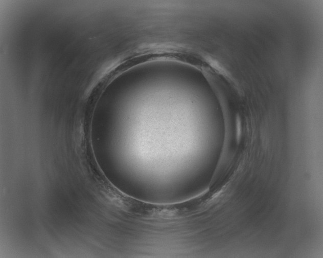 X0000068281261200604211102