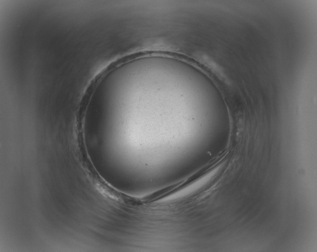 X0000068281264200604211102