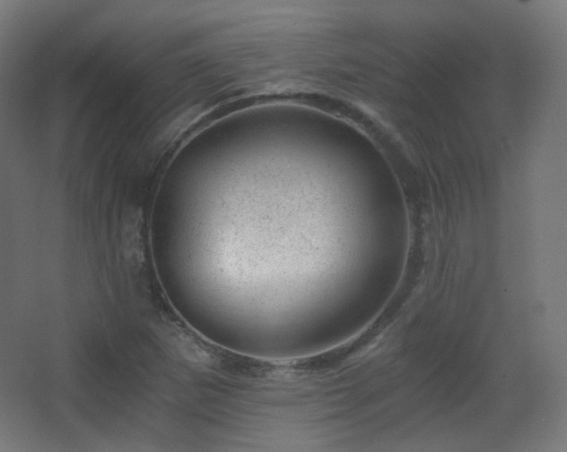 X0000068281265200604211102
