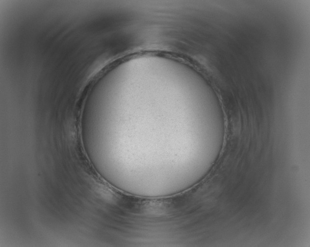 X0000068281266200604211102