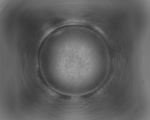 X0000068281267200604211102